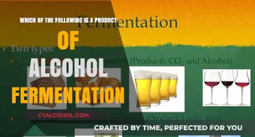 Alcohol Fermentation: Byproducts and Their Uses