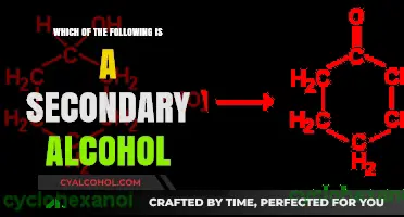 Identifying Secondary Alcohols: Key Characteristics and Examples Explained