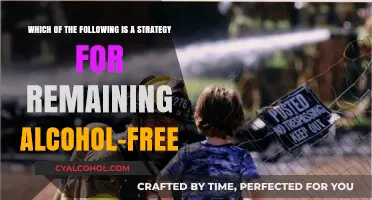 Strategies for Sustaining Sobriety: Staying Alcohol-Free