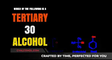 Tertiary Alcohol: Which of These Compounds Fits the Bill?