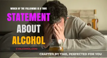 Alcohol Facts: Separating Truth from Fiction