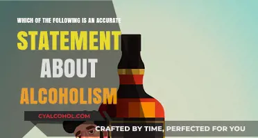 Alcoholism: Understanding the Facts and Impact