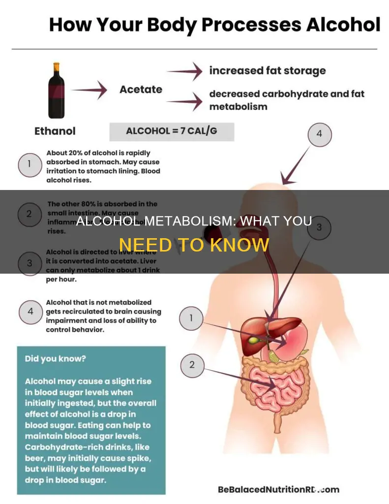 which of the following is are true about alcohol metabolism