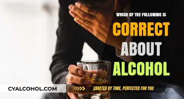 Alcohol Facts Unveiled: Debunking Common Myths and Misconceptions