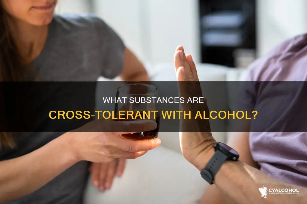 which of the following is cross-tolerant with alcohol
