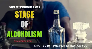 Alcoholism: Understanding the Stages of This Addiction