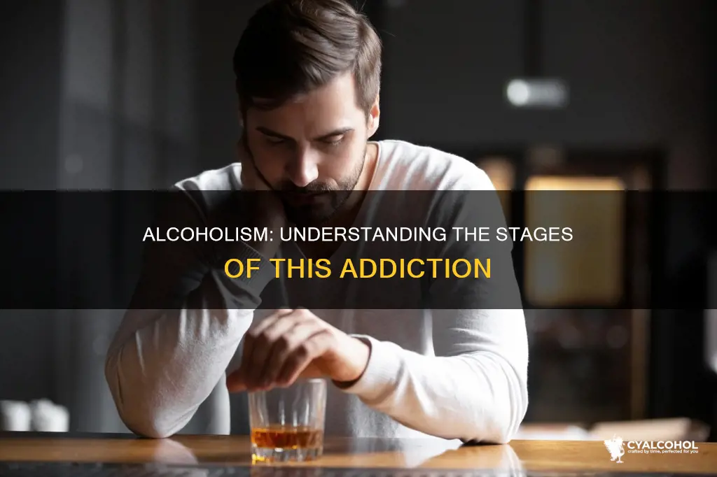 which of the following is not a stage of alcoholism