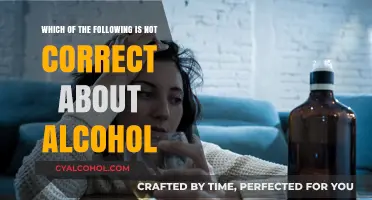 Alcohol Myths: Debunking the Untruths