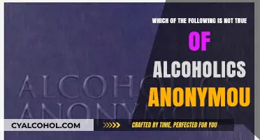 AA Misconceptions: What Alcoholics Anonymous Is Not