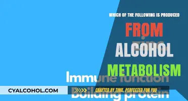 Alcohol Metabolism: What Does Your Body Produce?