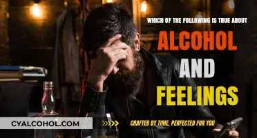 Alcohol's Impact: How It Influences Your Feelings