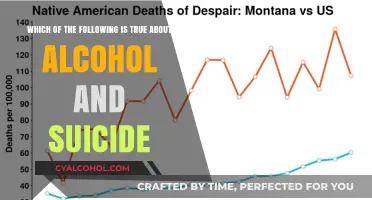 Alcohol and Suicide: A Complex Relationship