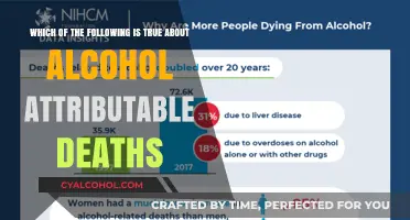 Alcohol-Related Deaths: The Sobering Truth