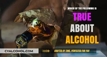 Alcohol Myths Debunked: Uncovering Surprising Truths About Drinking