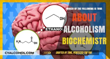 Alcoholism Biochemistry: Unraveling the Science of Addiction