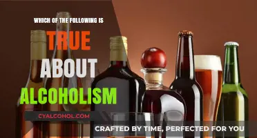 Understanding Alcoholism: Debunking Myths and Uncovering Key Facts