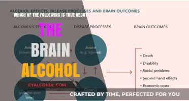 Alcohol's Impact: Understanding the Brain's Response