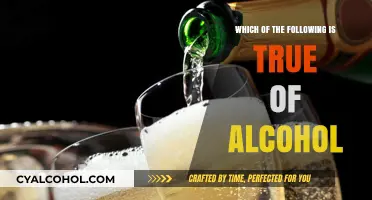 Alcohol Myths Debunked: Separating Facts from Fiction About Drinking