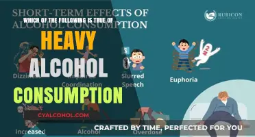 Heavy Drinking: A Slippery Slope to Health Risks
