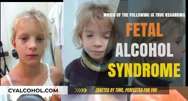 Alcohol's Impact: Fetal Alcohol Syndrome Facts