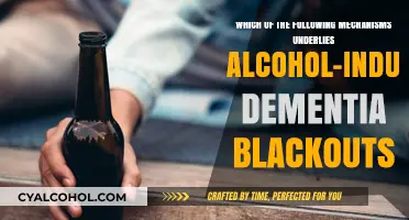 Alcohol's Impact: Understanding Blackout Mechanisms