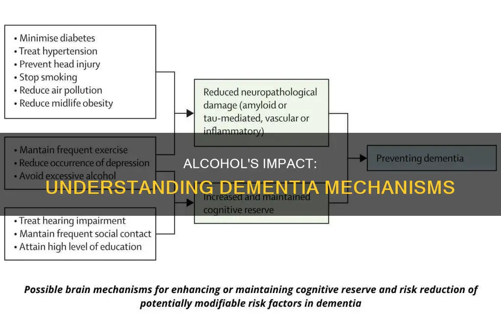 which of the following mechanisms underlies alcohol-induced dementia