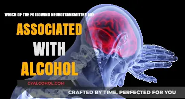 Alcohol's Neurotransmitter Impact: Understanding the Brain Chemistry