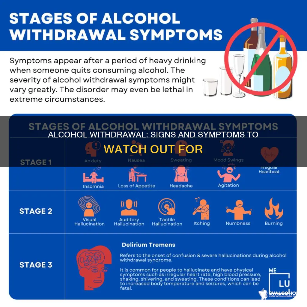 which of the following represent withdrawal symptoms from alcohol abuse