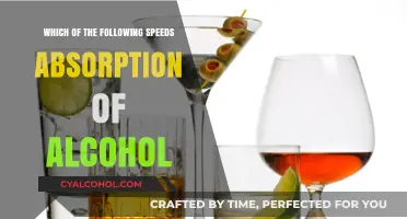 Boosting Alcohol Absorption: Factors That Speed Up Intoxication