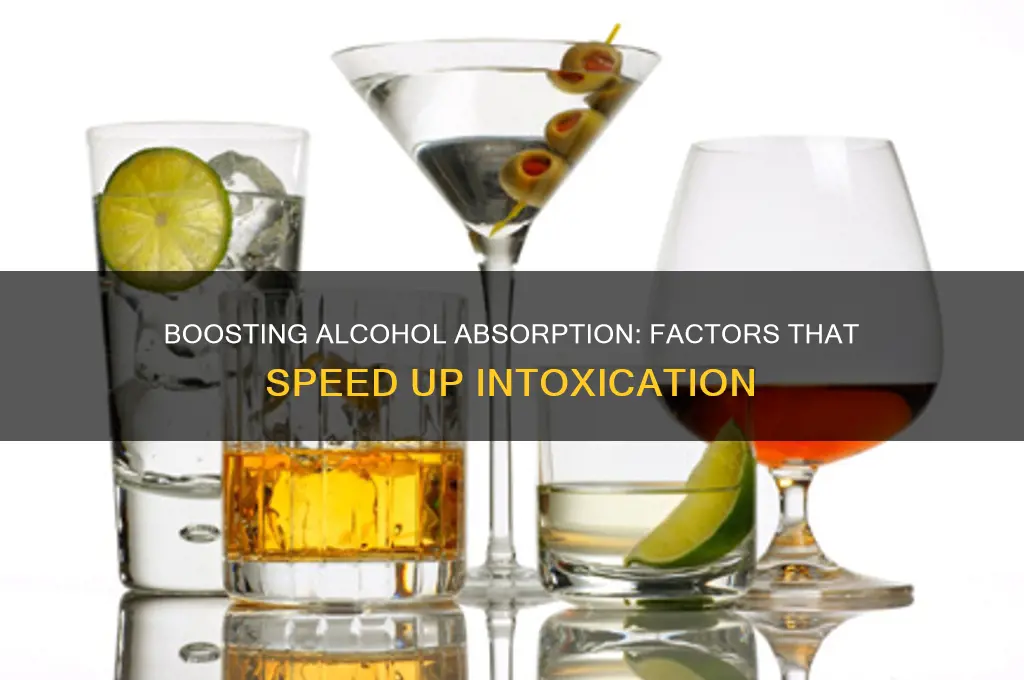 which of the following speeds absorption of alcohol