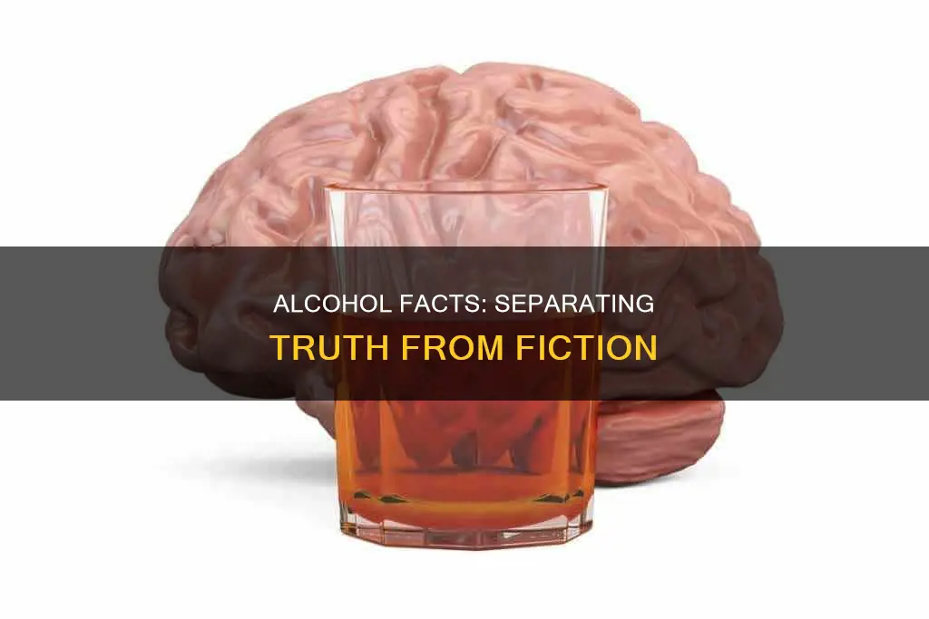 which of the following statements about alcohol is accurate