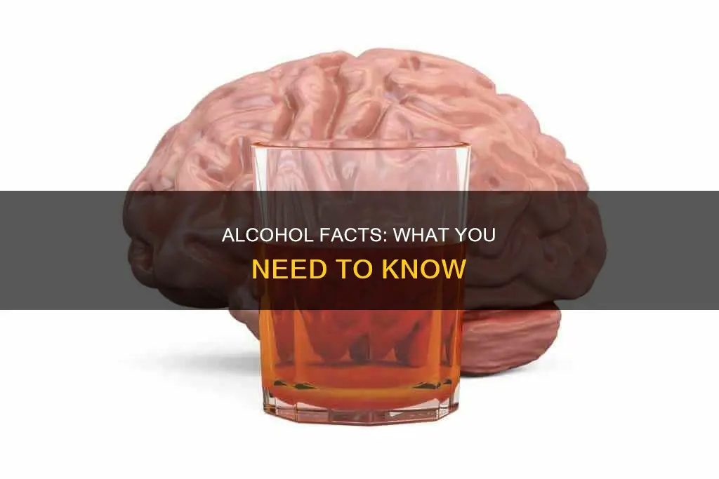 which of the following statements about alcohol is correct brainly
