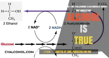 Alcohol Metabolism: Understanding the True Impact