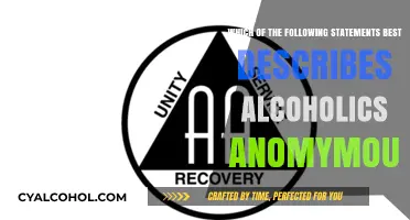 Alcoholics Anonymous: A Supportive Path to Recovery