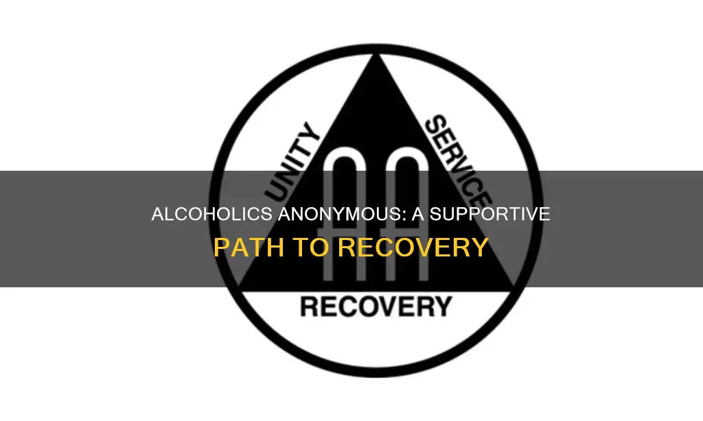 which of the following statements best describes alcoholics anomymous