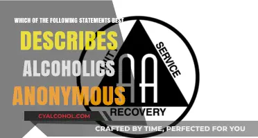 Alcoholics Anonymous: A Community for Sobriety and Support