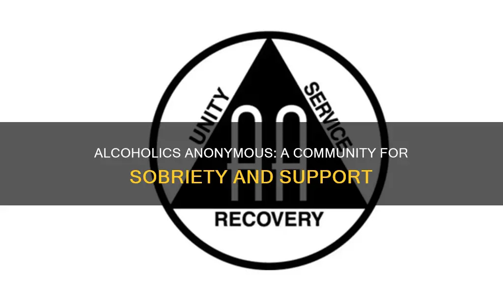 which of the following statements best describes alcoholics anonymous