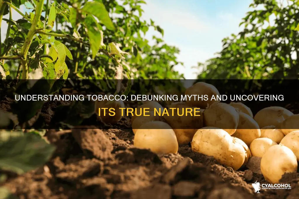 which of the following statements best describes tobacco