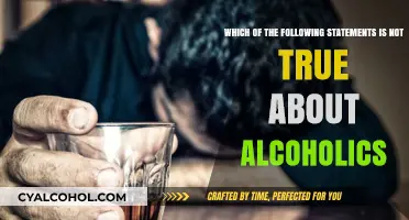 Alcoholics: Myths and Misconceptions Uncovered