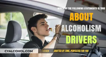 Alcoholism: A Dangerous Driver's Deadly Decision