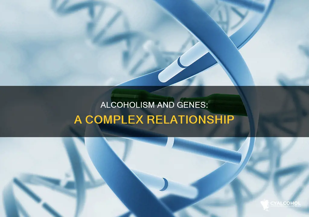 which of the following statements is true about alcoholism polygenic