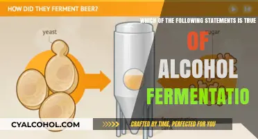 How Alcohol Fermentation Works: True Statements