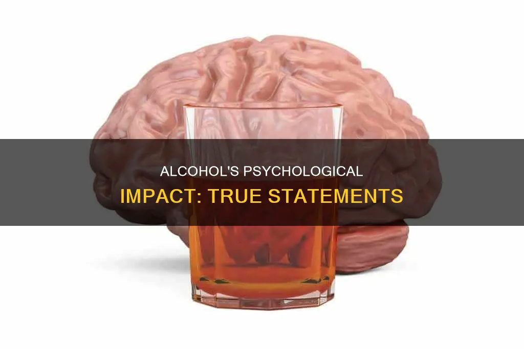 which of the following statements is true of alcohol psychology