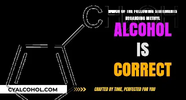 Methyl Alcohol Facts: Know the Truth