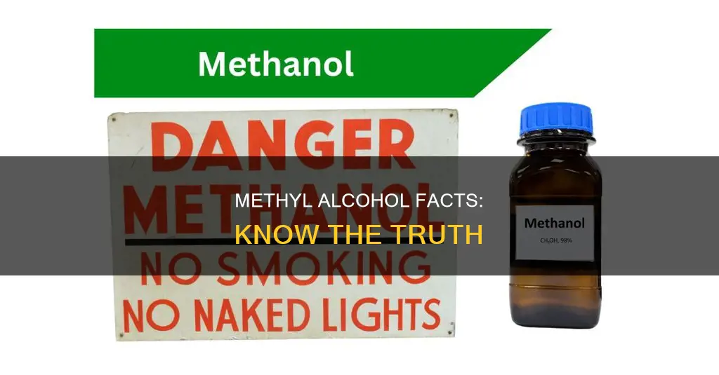 which of the following statements regarding methyl alcohol is correct
