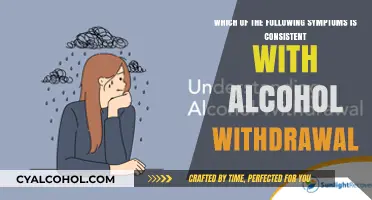 Alcohol Withdrawal: Recognizing the Symptoms
