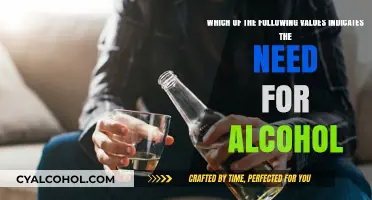 Signs That You Need to Stop Drinking Alcohol