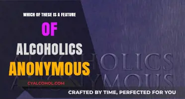 Effective Strategies for Alcoholics Anonymous