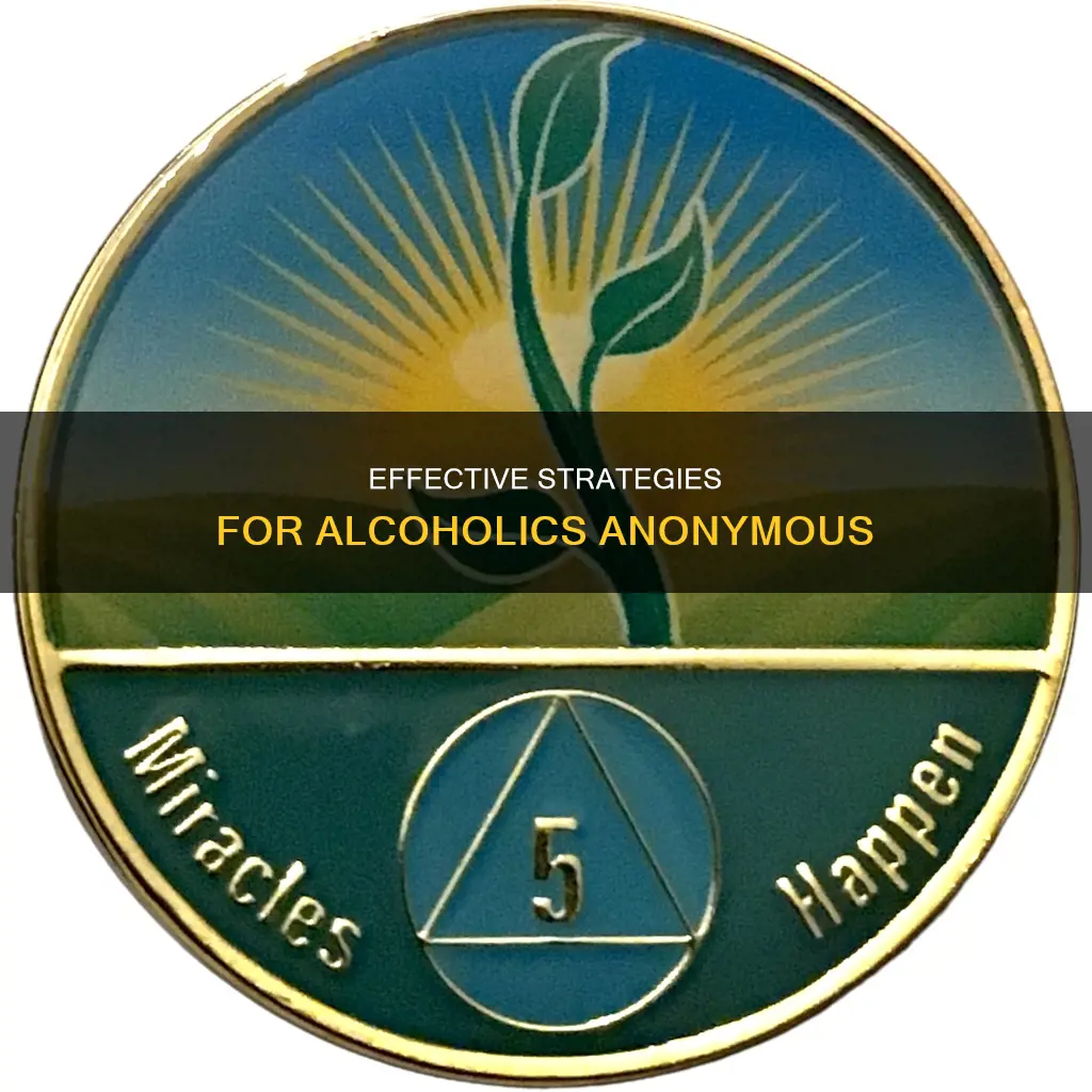 which of these is a feature of alcoholics anonymous