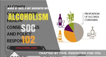 Alcoholism and its Exceptions: SOC 102 Explained